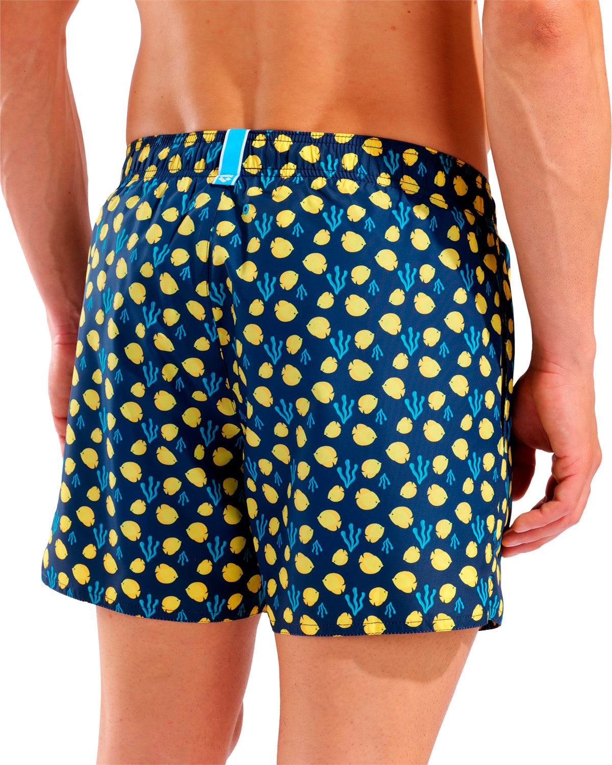Yellow fish-