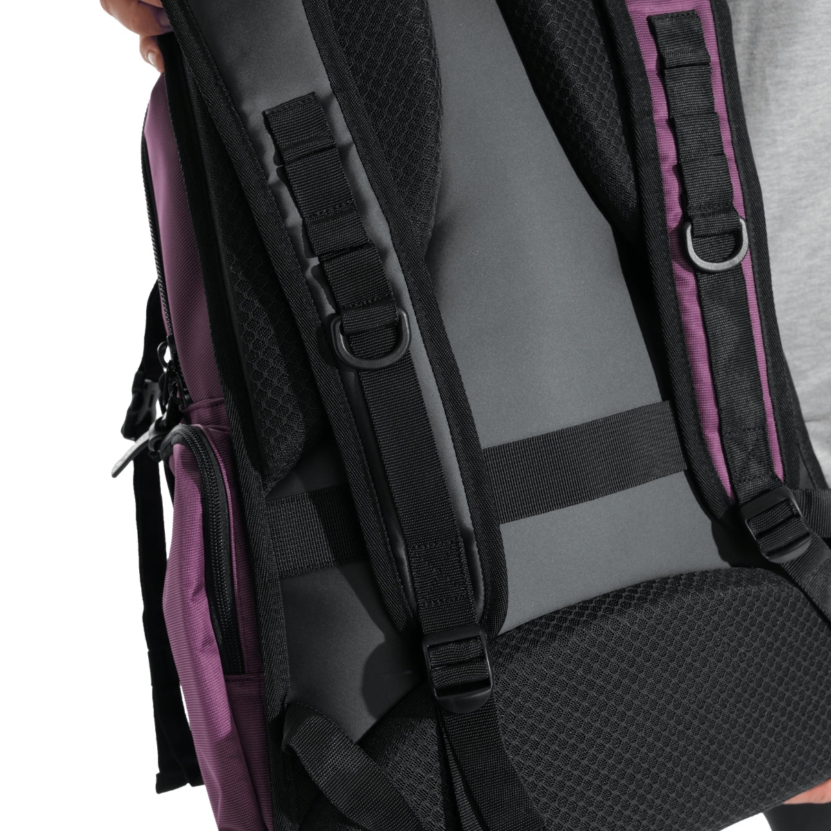 Morado-